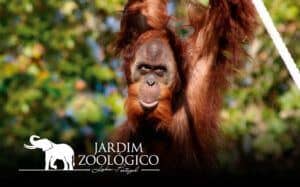 JARDIM ZOOLÓGICO LISBOA - Agenda Cultural de Lisboa