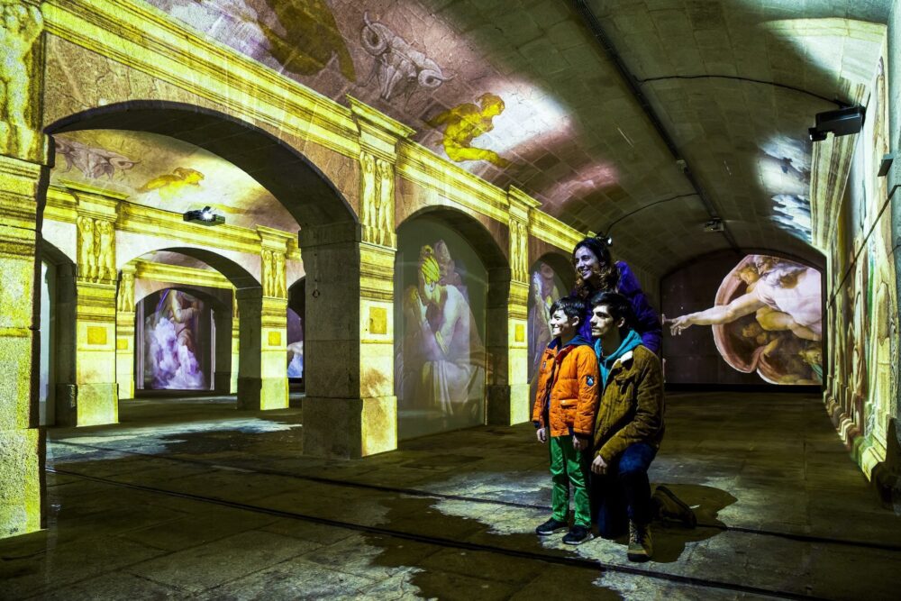 Michelangelo & Da Vinci - Immersivus Gallery