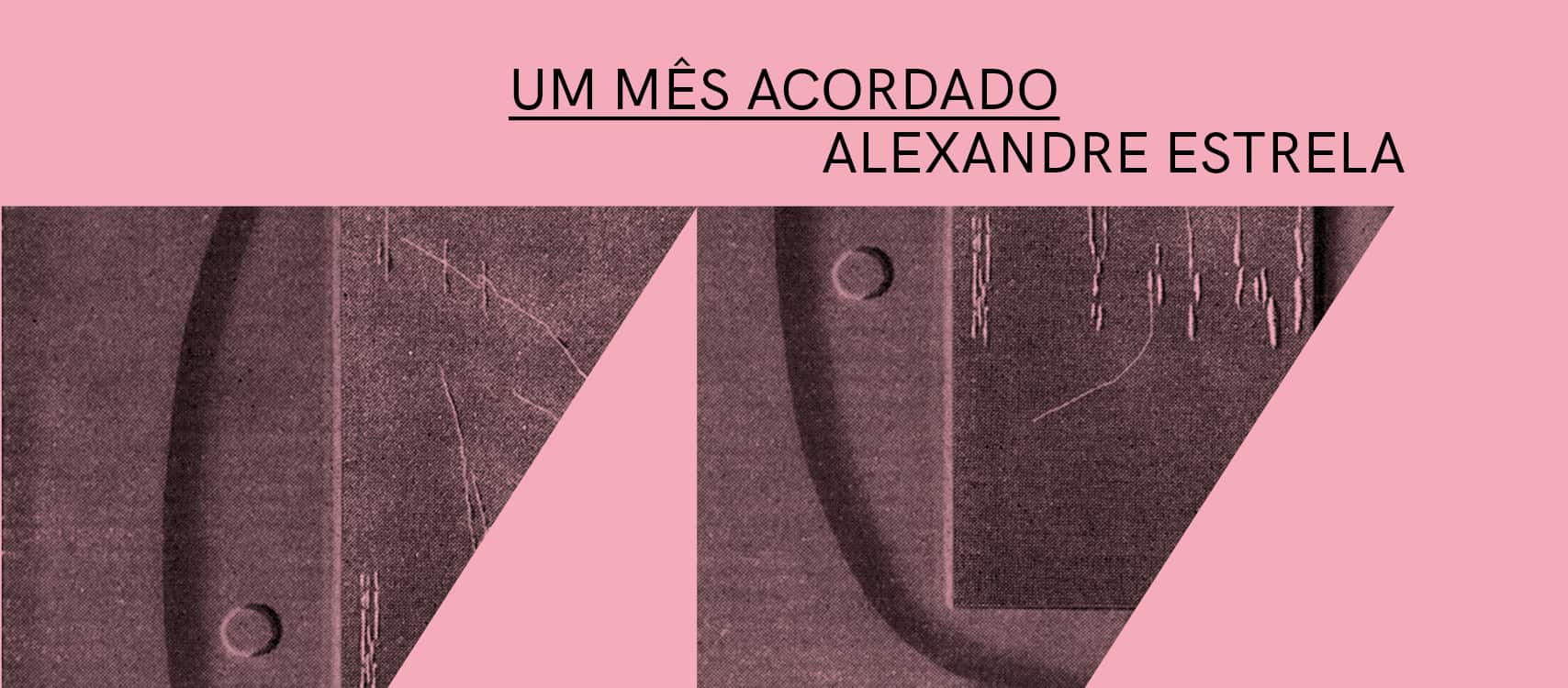 Um Mês Acordado ⟡ Exposição de Alexandre Estrela ⟡ ZDB Galeria Zé dos Bois