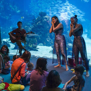 https://www.oceanario.pt/atividades/concerto-para-bebes/