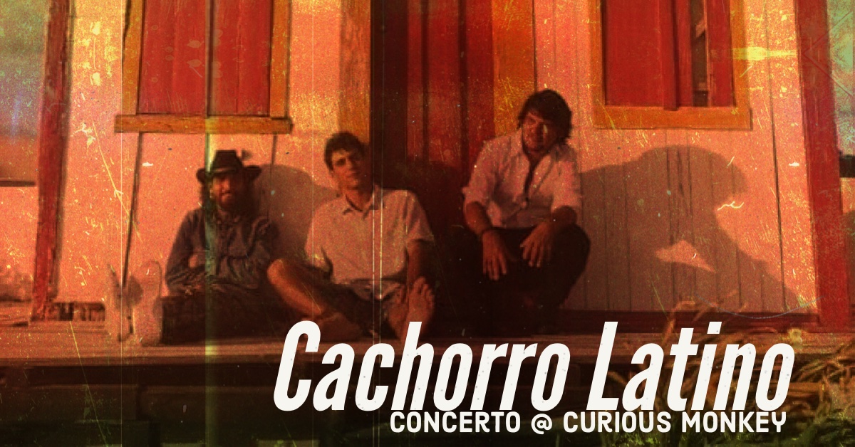 Cachorro Latino - Curious Monkey