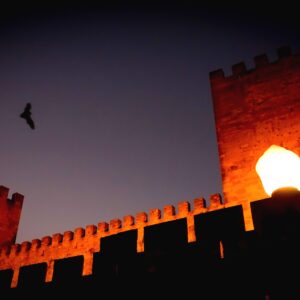 Morcegos no Castelo - Castelo De Sao Jorge