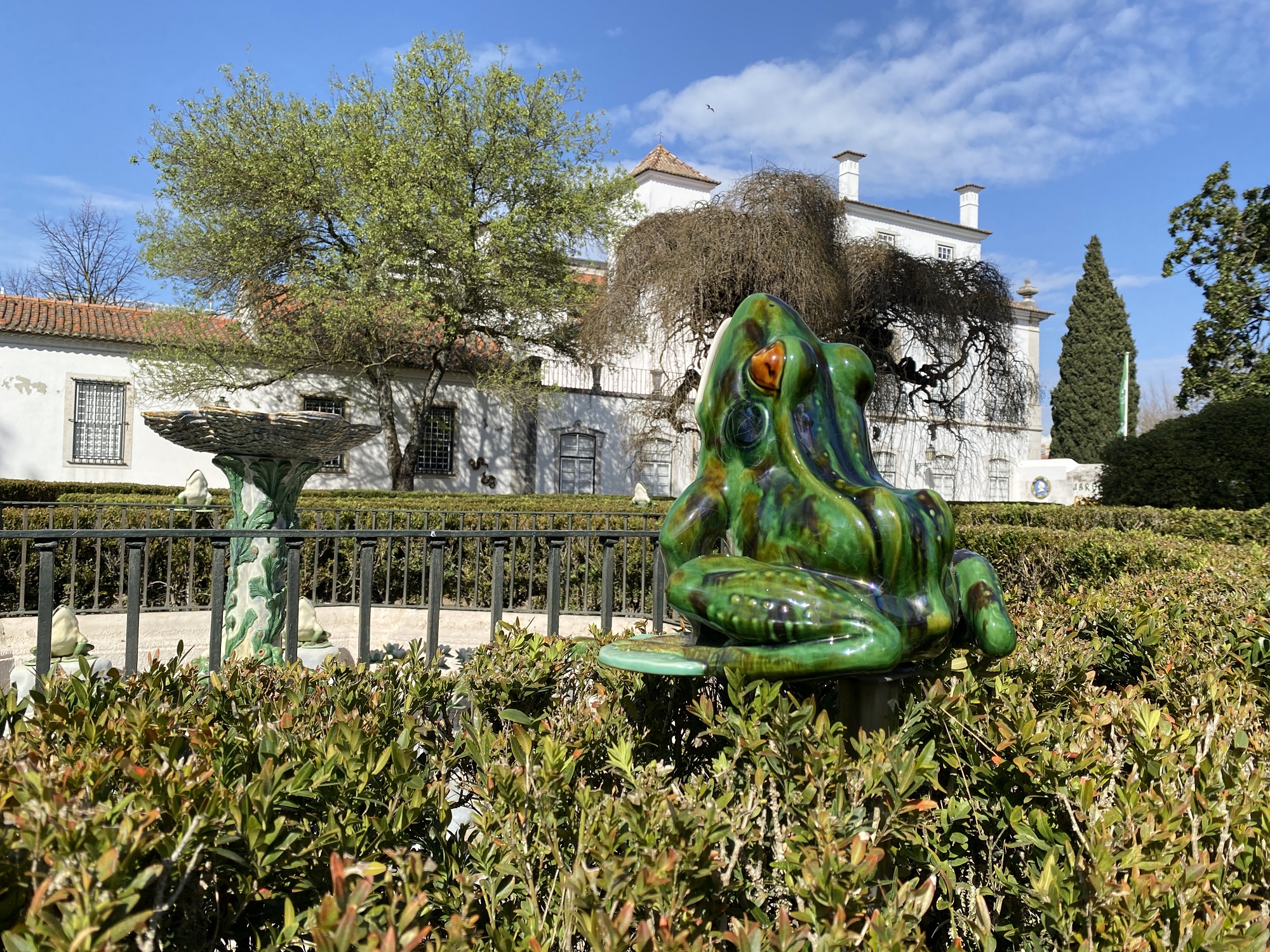 Biodiversidade na cidade Museu de Lisboa