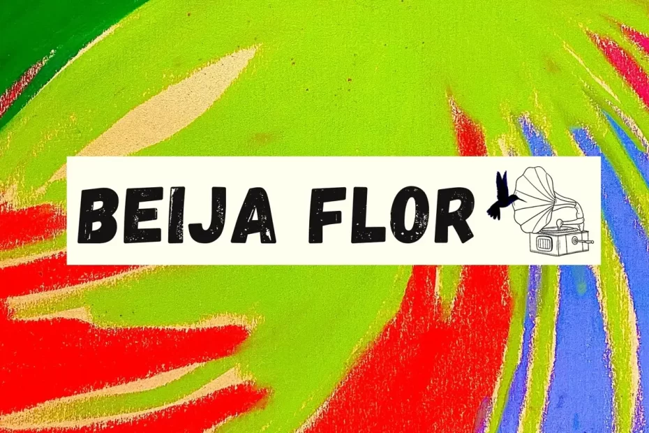 Beija Flor - NYE - deep dance party with a hifi sound system