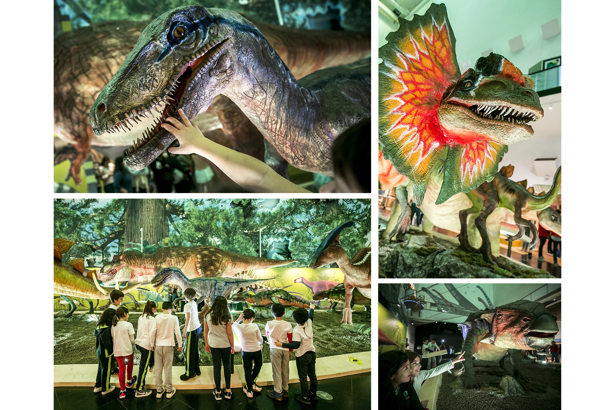 Dinossauros O Regresso dos Gigantes