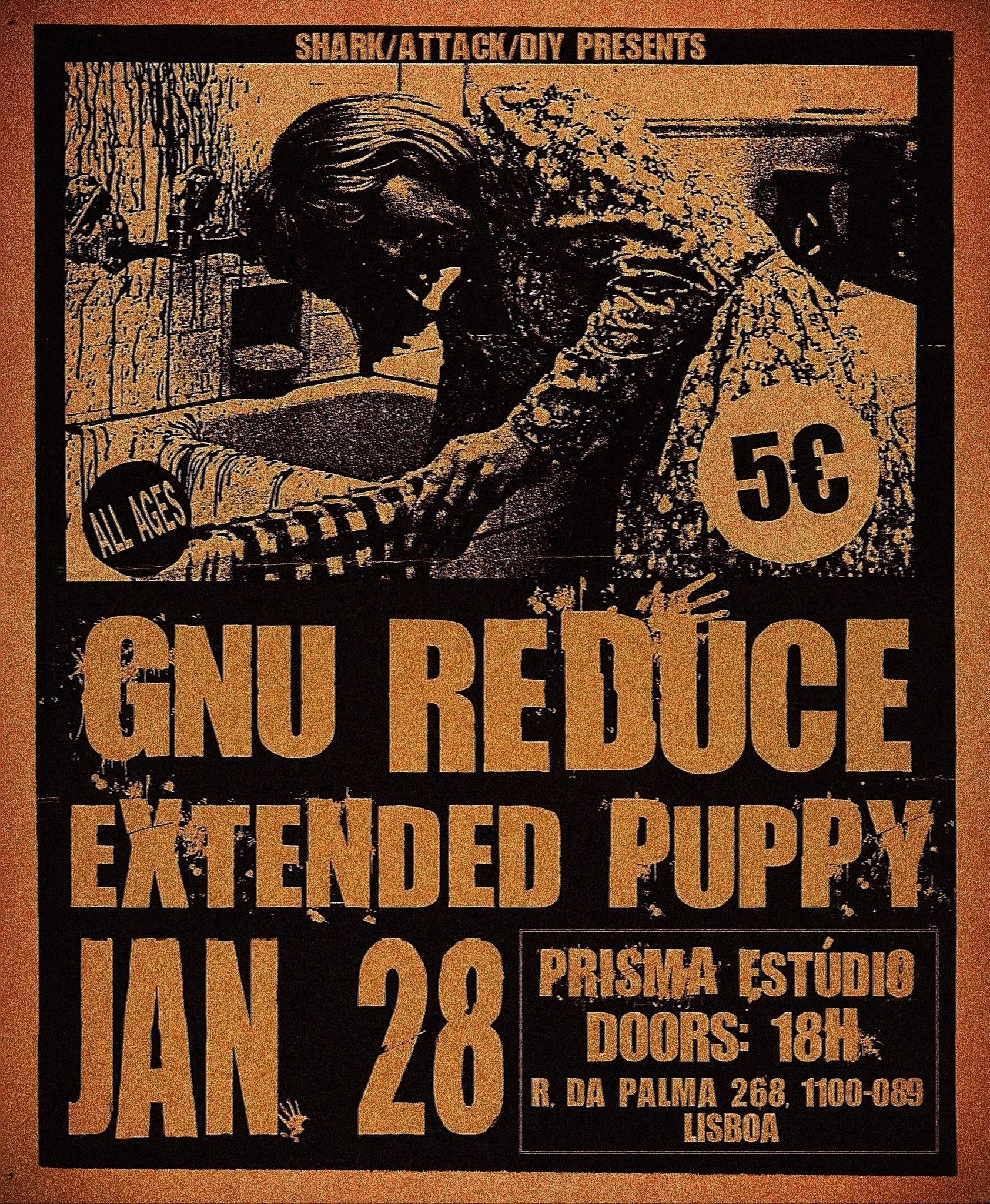 GNU, Reduce and Extended Puppy