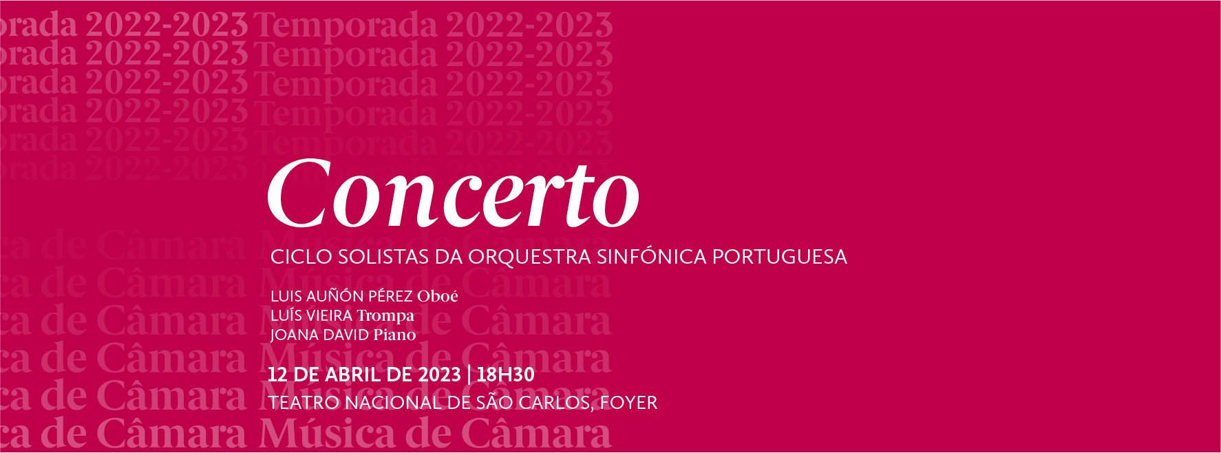 Concerto de Música de Câmara Luis Auñon Pérez, Luís Vieira e Joana David