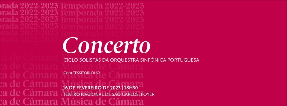 Concerto de Música de Câmara Tessitori Duo