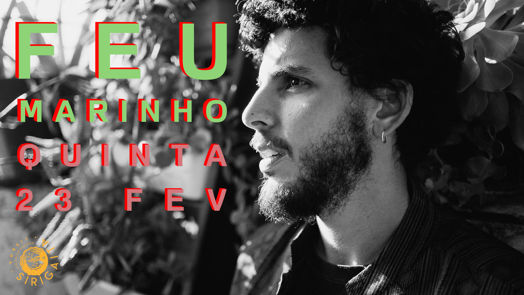 Feu Marinho concerto