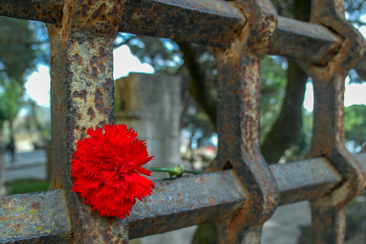 Arqueologia de uma Revolução (1)
