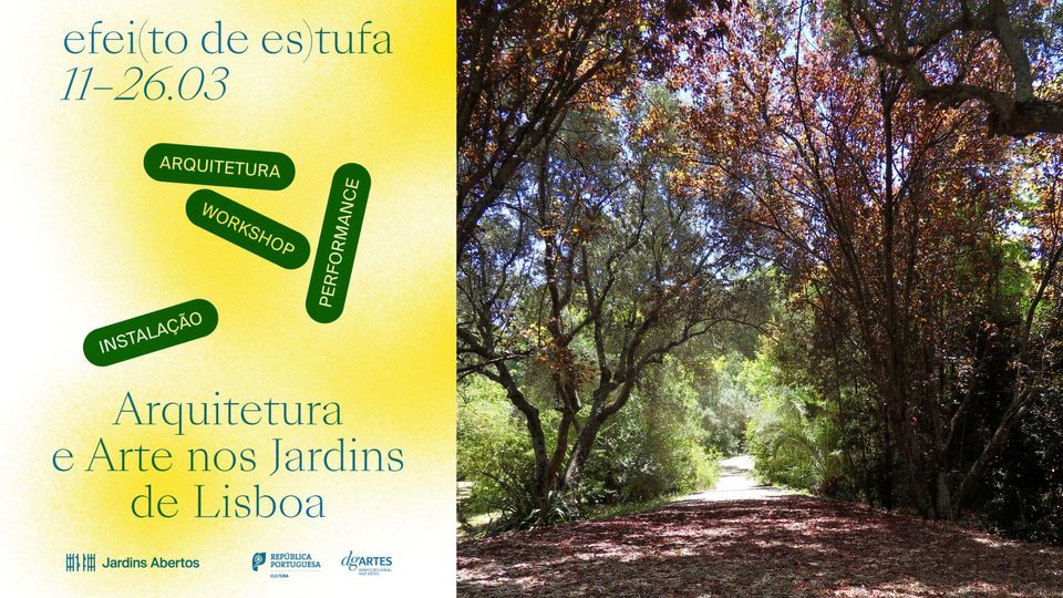 Escondido em Plena Vista