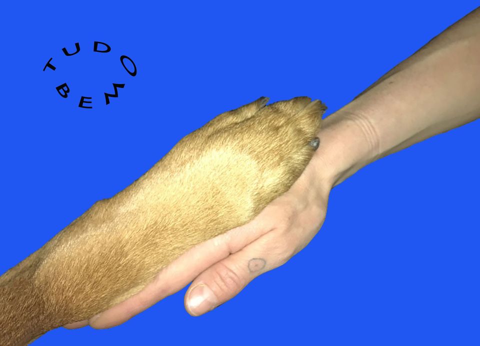 JULIA RIEDERER Tudo Bem