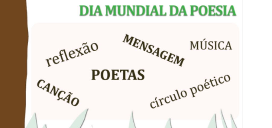 No olhar do mocho