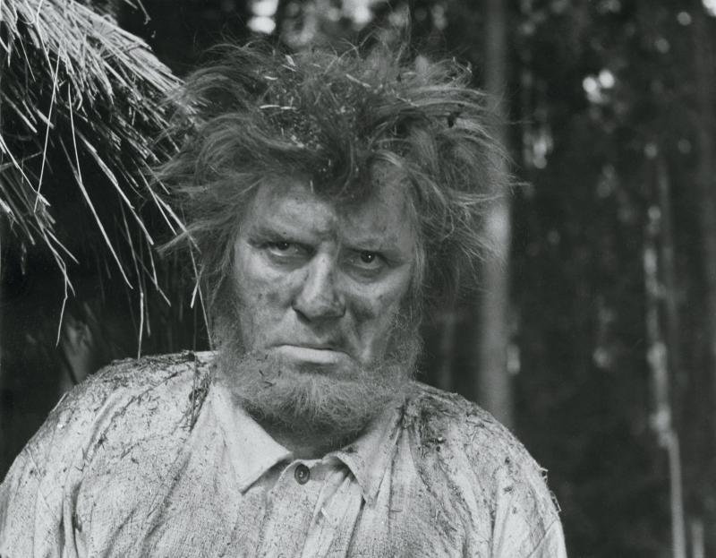 O Cinema da Estónia um ninho ao vento