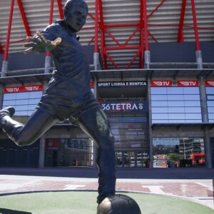 Visita ao Estádio da Luz + Museu Benfica: acesso rápido