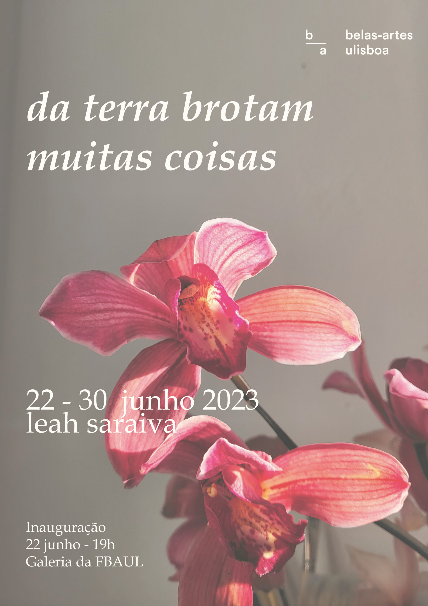 da terra brotam muitas coisas - exposição