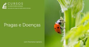 Pragas e Doenças