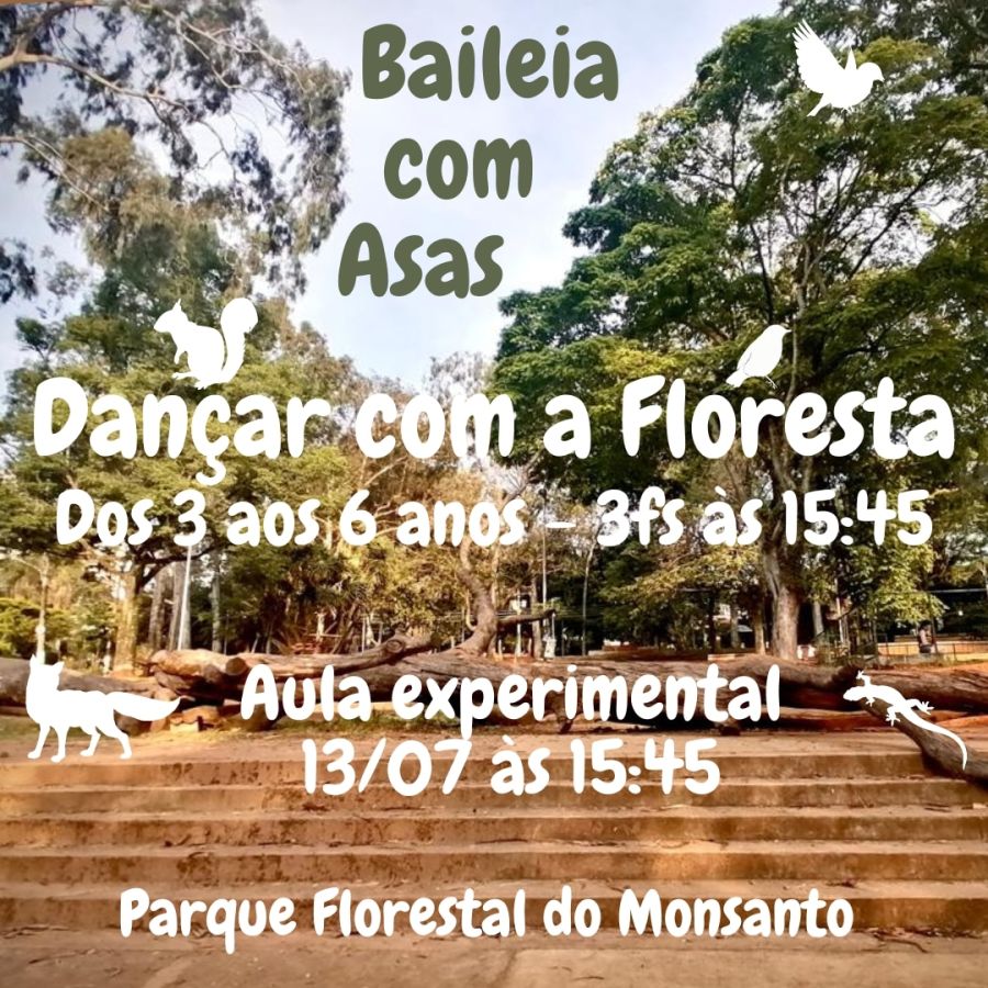 Dançar com a Floresta