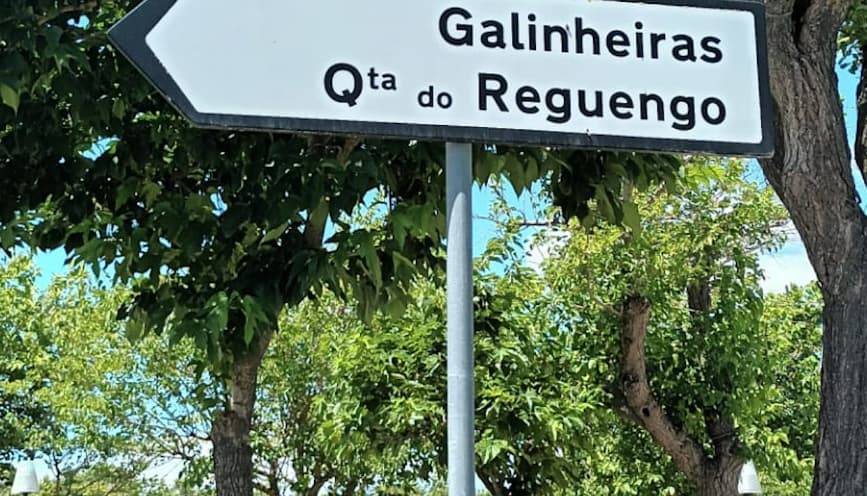 Por Aqui ou Por Ali – Corações Nas Galinheiras (1)