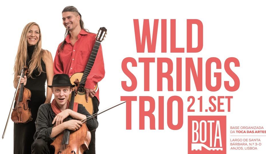 WILD STRINGS TRIO