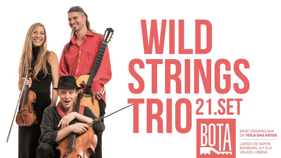 WILD STRINGS TRIO