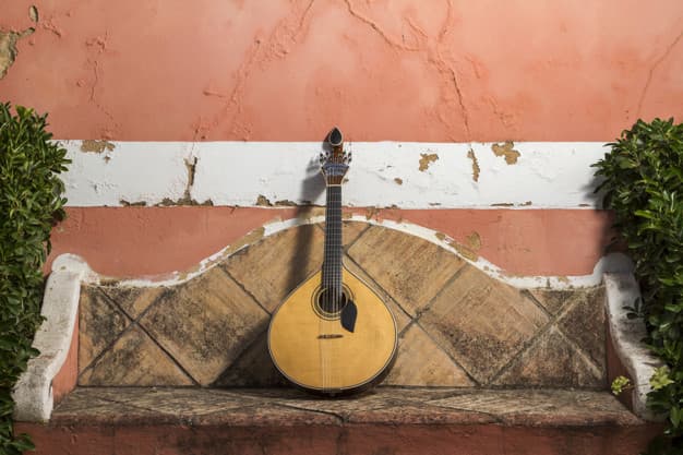 Fado na Rua - Junta de Freguesia de Santa Maria Maior