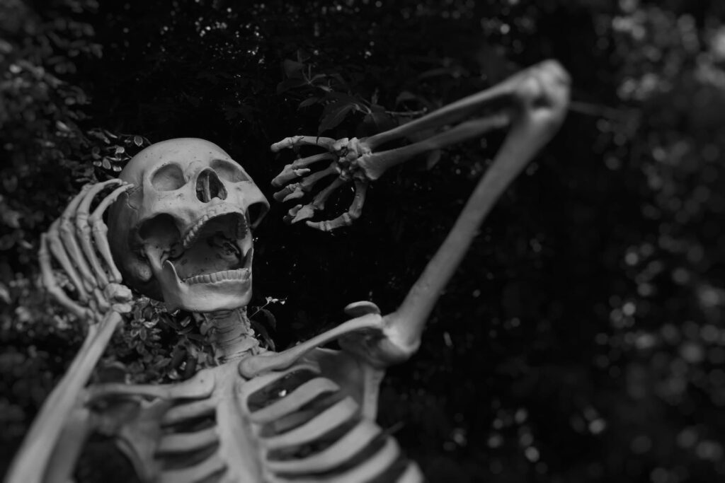 Sugestões para celebrar o Halloween em Lisboa