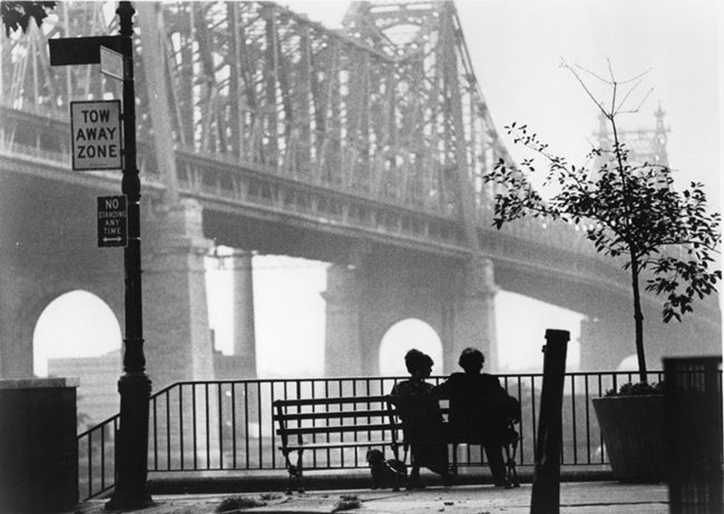 Woody Allen conversa com Ricardo Araújo Pereira