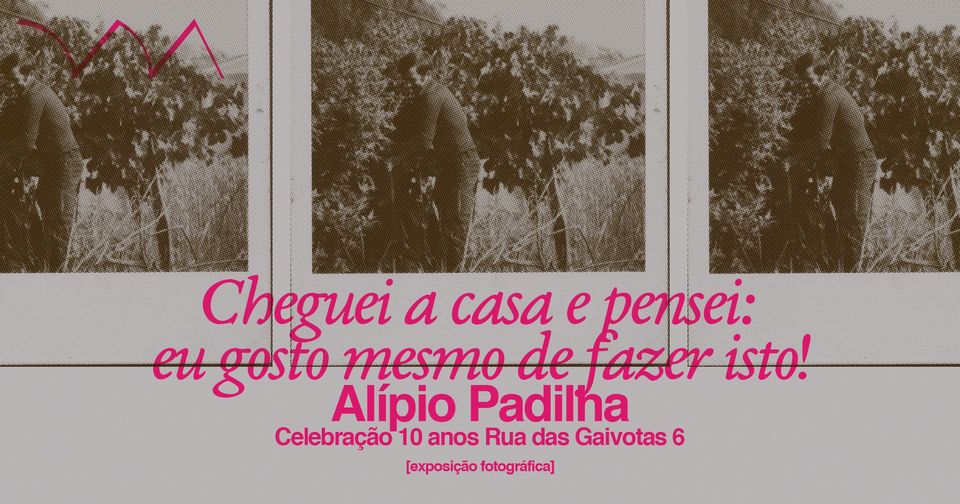 Cheguei a casa e pensei eu gosto mesmo de fazer isto! ❋ Alípio Padilha