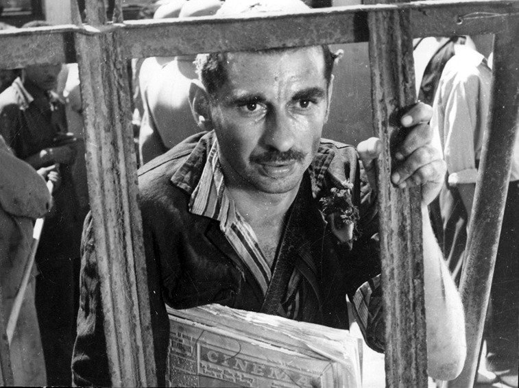 O Egito de Youssef Chahine