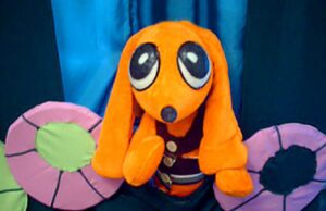 Bobi o cão salsicha