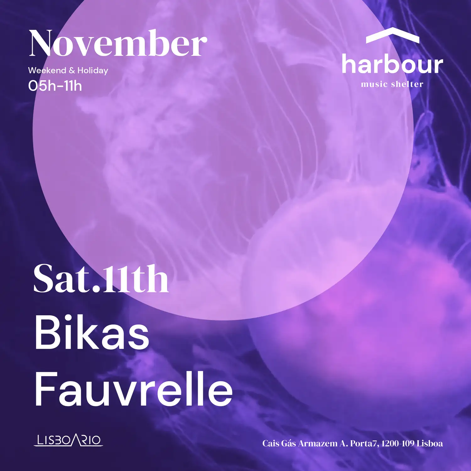 Harbour Bikas + Fauvrelle