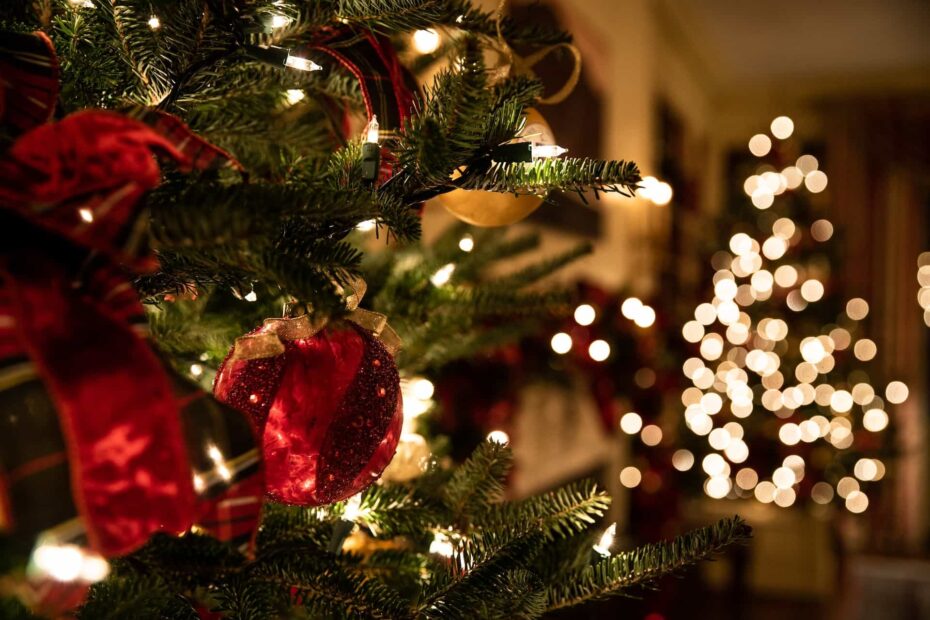Os Melhores Espetáculos de Natal em Lisboa para as Crianças (1)