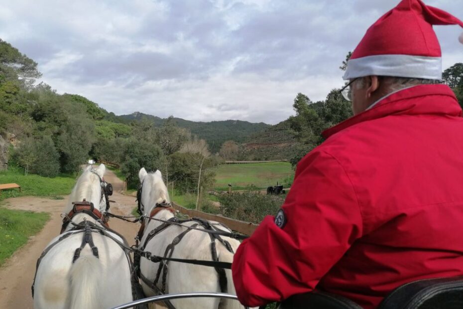 Natal na Quinta do Pisão e Pedra Amarela Campo Base