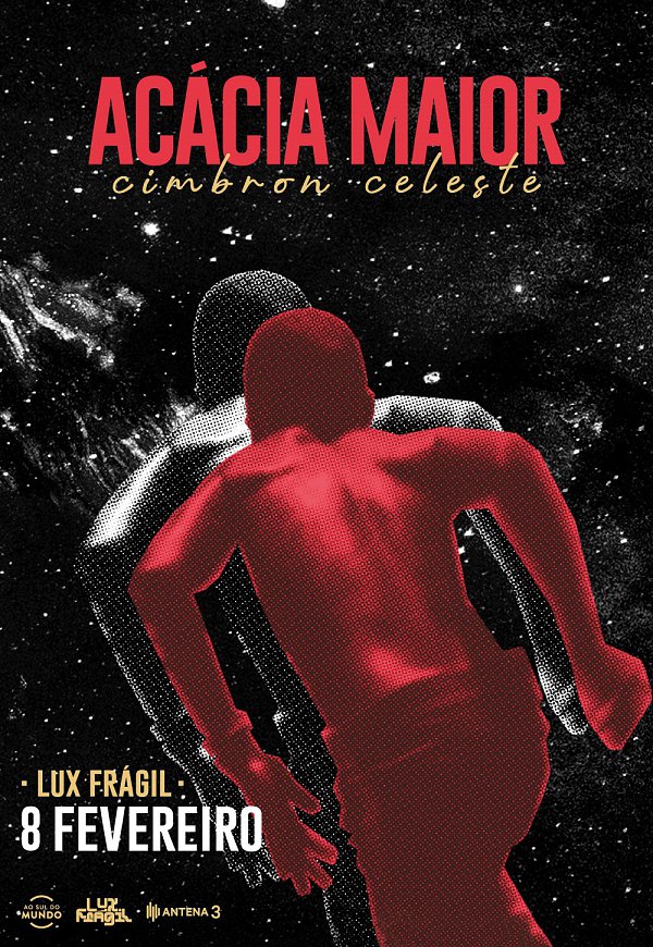 ACÁCIA MAIOR - Lux Frágil