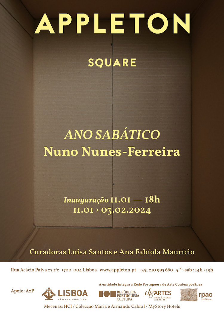 Nuno Nunes-Ferreira: ANO SABÁTICO