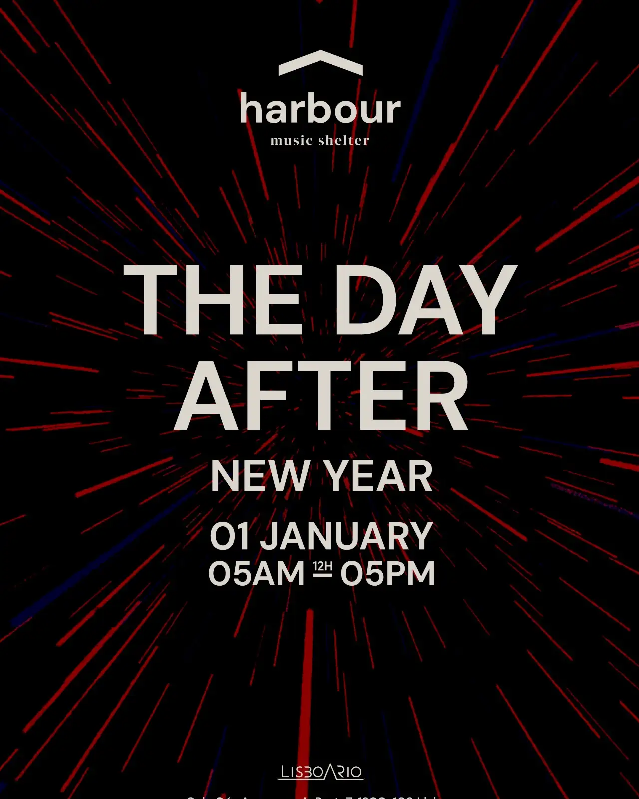The Day After NYE Harbour