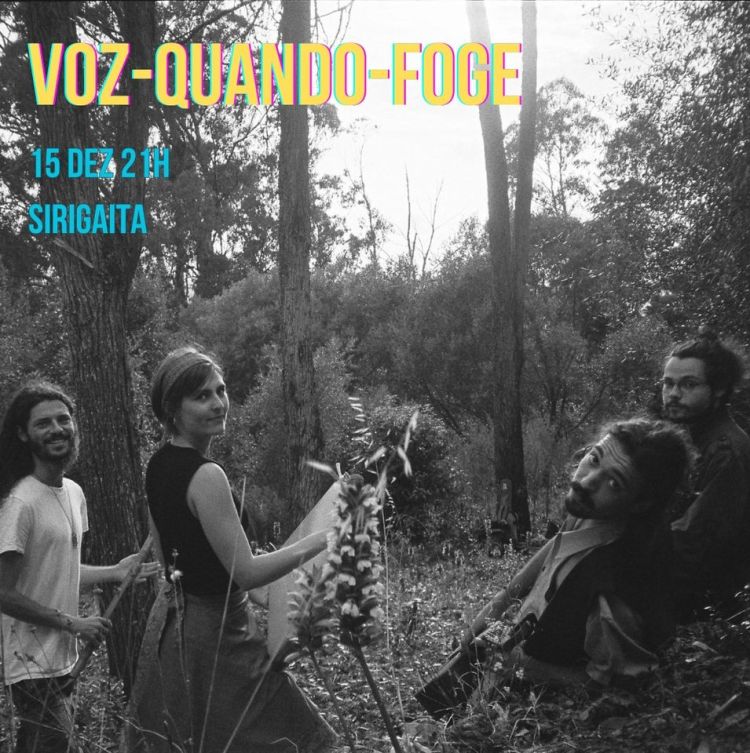 Voz-quando-foge concerto