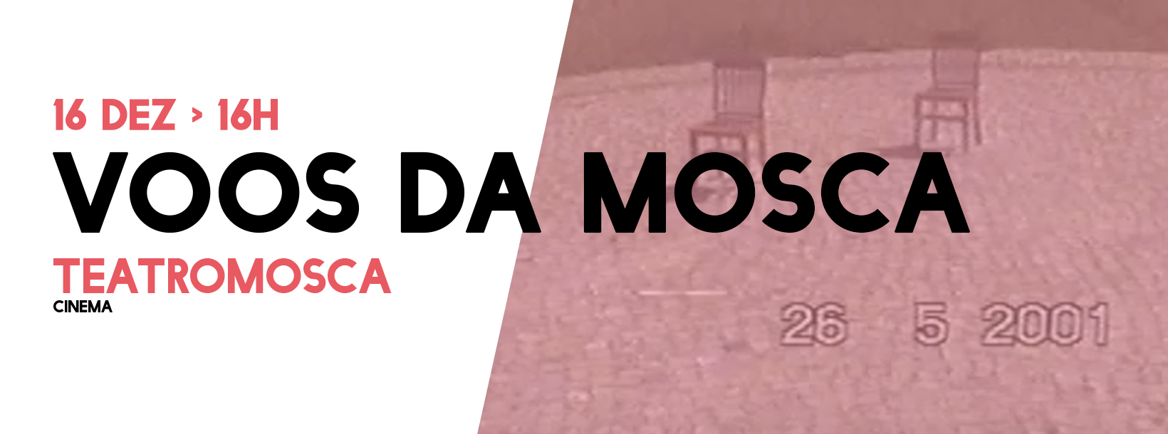 Voos da mosca