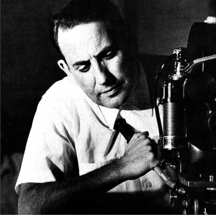 Augusto Cabrita, o olhar encantado