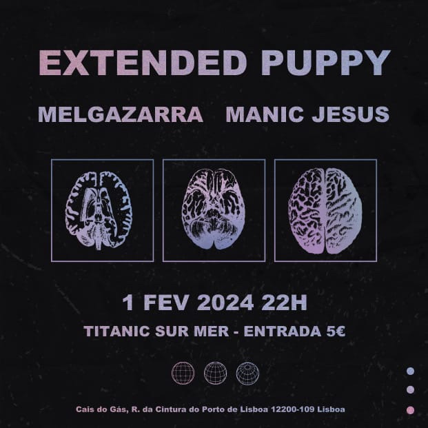 No dia 1 de Fevereiro o Titanic recebe uma noite de Rock alternativo. Venham abanar a cabeça com os Extended Puppy, Manic Jesus e Melgazarra! Horas: 22h Entrada à porta: 5€