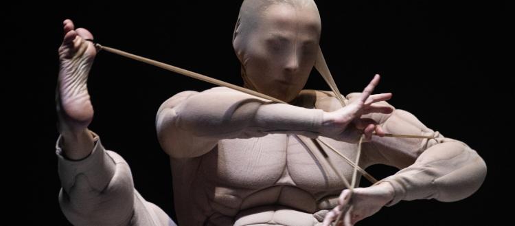 Esplendor e Dismorfia + The Breaking Point