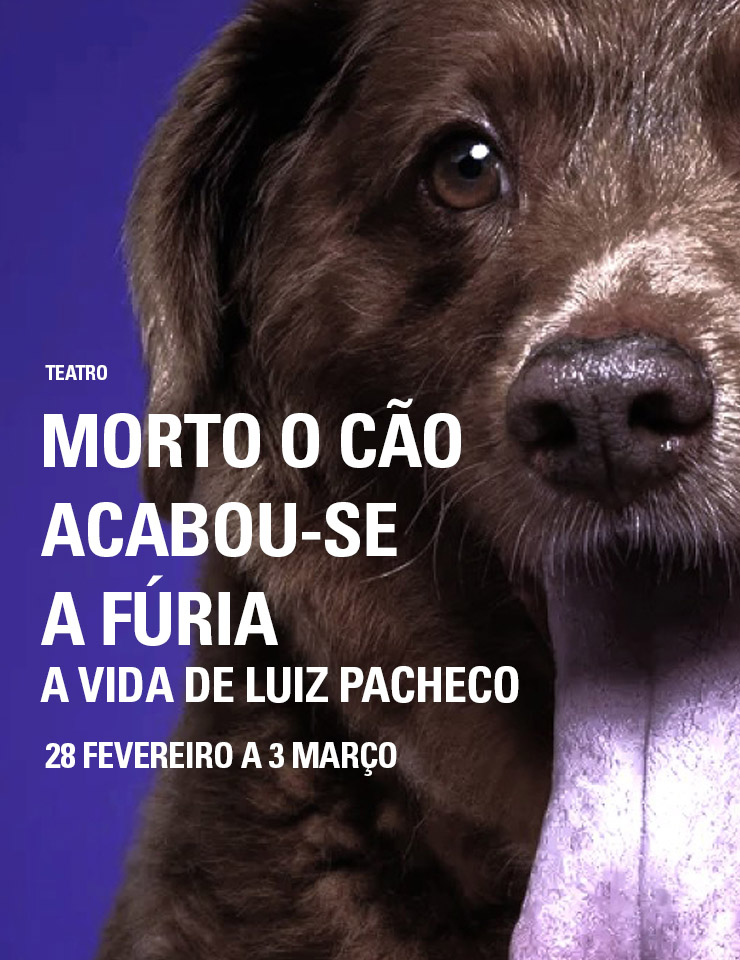 MORTO O CÃO ACABOU-SE A FÚRIA - A VIDA DE LUIZ PACHECO