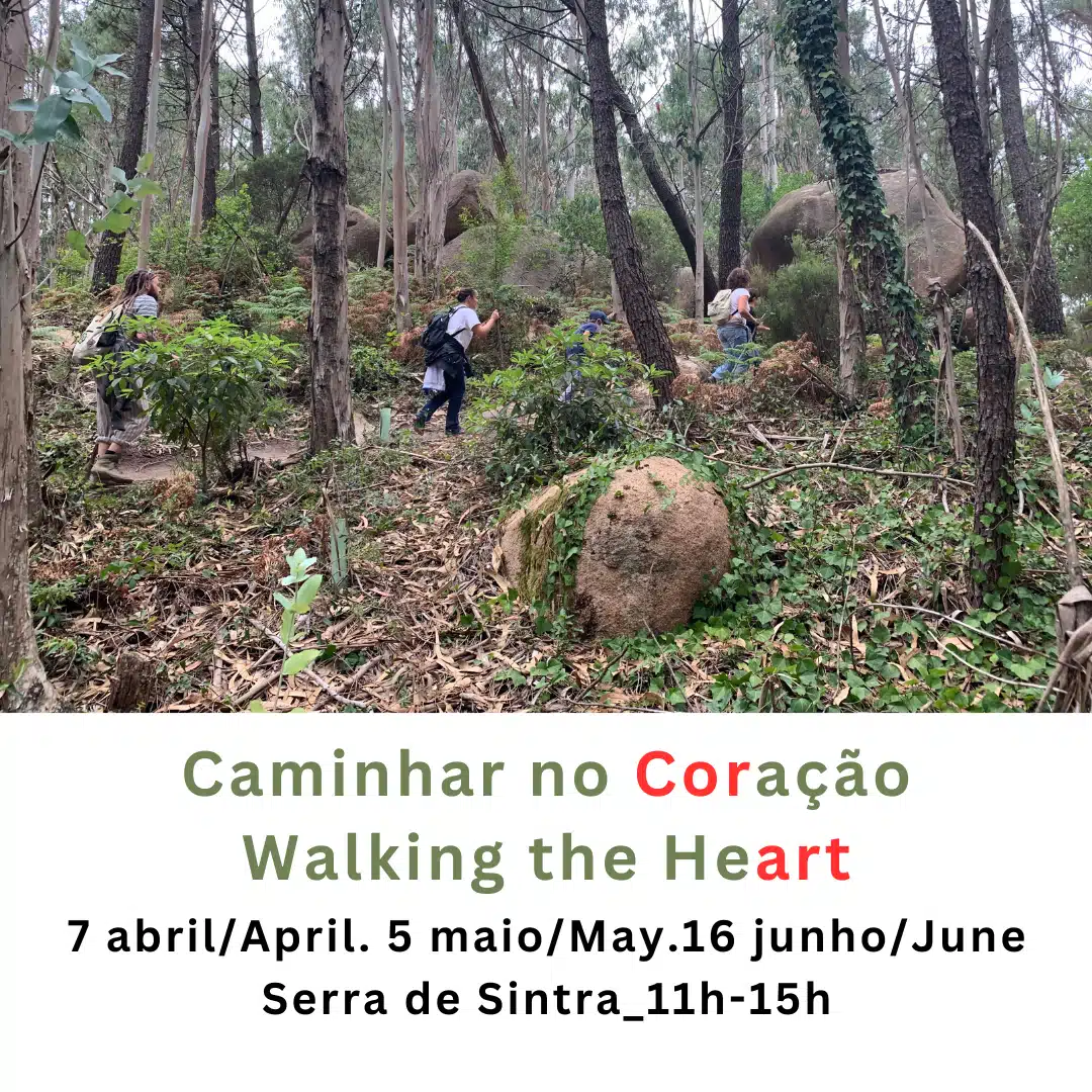 Caminhar no Coração / Walking the Heart