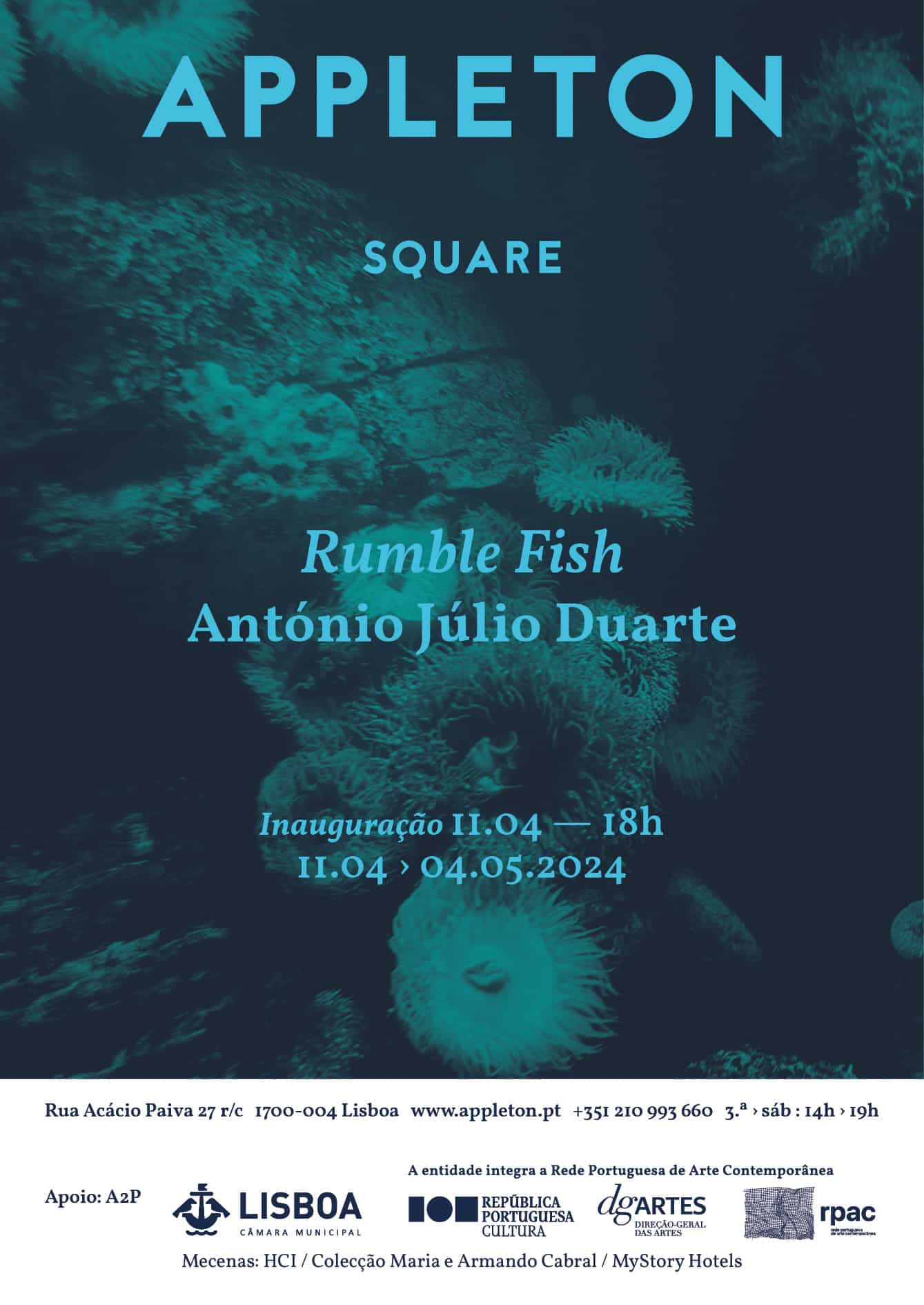 António Júlio Duarte: Rumble Fish