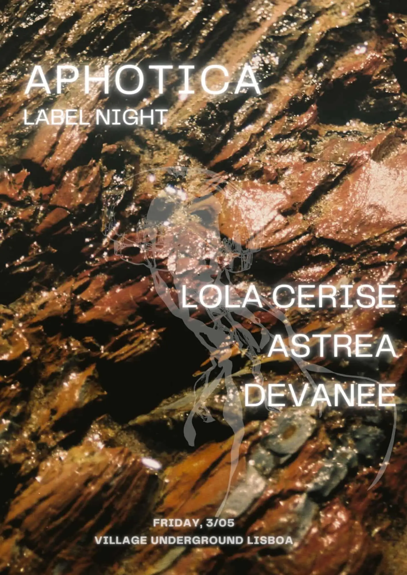 APHOTICA LABEL NIGHT