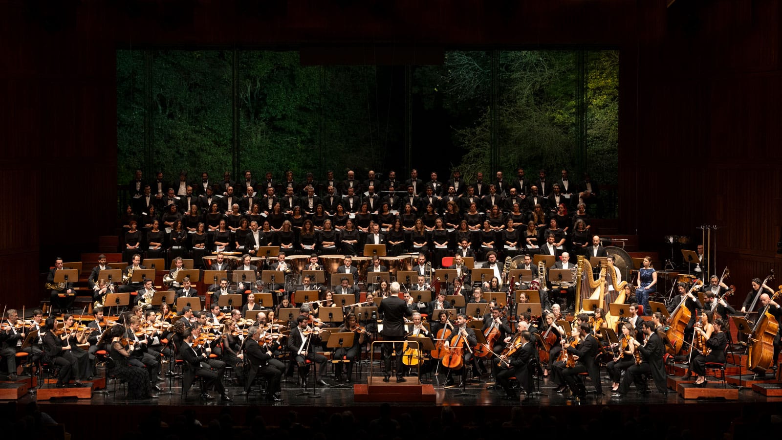A Danação de Fausto - Coro e Orquestra Gulbenkian