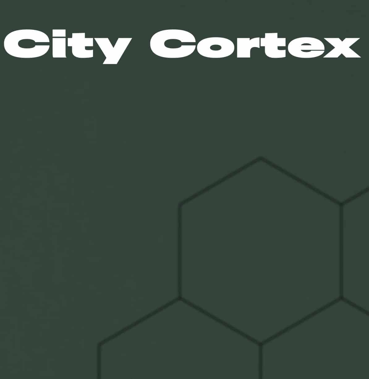 Guta Moura Guedes referiu que “City Cortex é um programa totalmente pensado e produzido em Portugal.