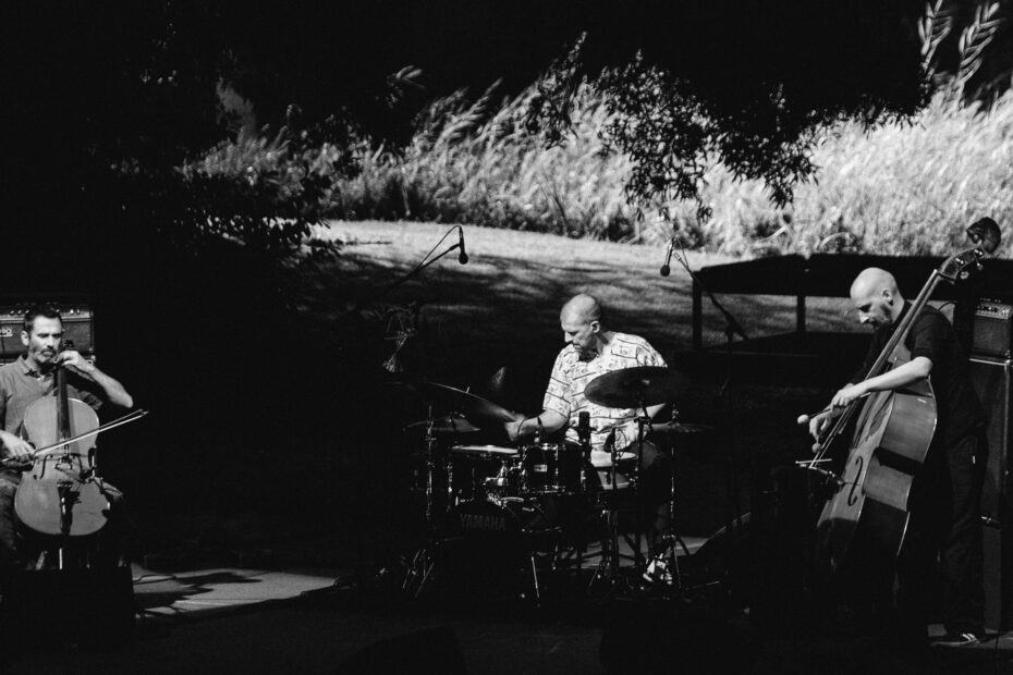 The Selva - Jardim Gulbenkian