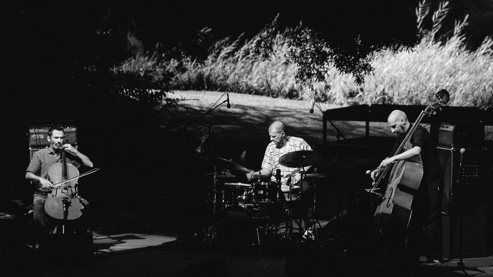 The Selva - Jardim Gulbenkian